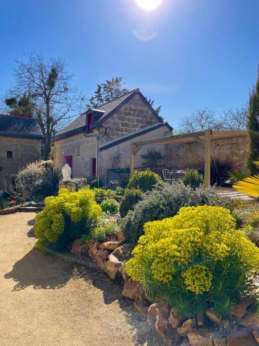 Maisons De Campagne. Gite Vert. Brigne Exteriér fotografie